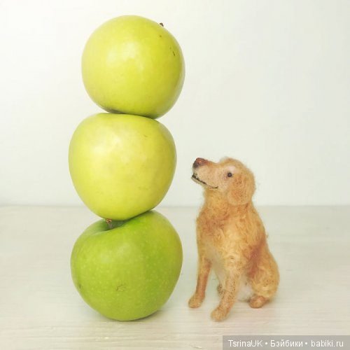 Войлочные собачки от Миган Алессио