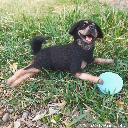 Войлочные собачки от Миган Алессио (фото 10)