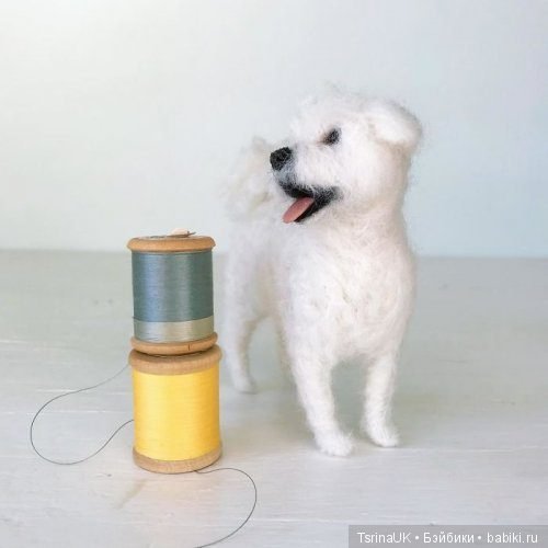 Войлочные собачки от Миган Алессио