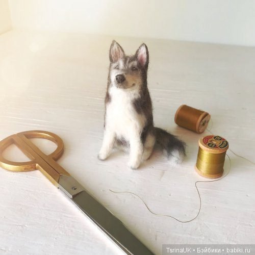 Войлочные собачки от Миган Алессио