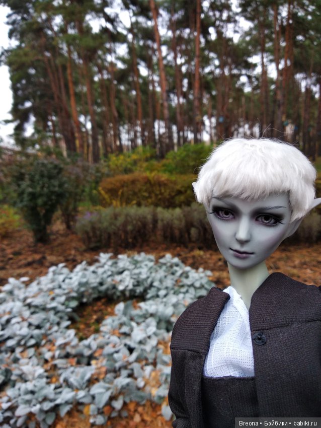 Телора Бренас — Куклы Resinsoul (Резинсоул) и Bobobie: BJD (БЖД) (фото 9)