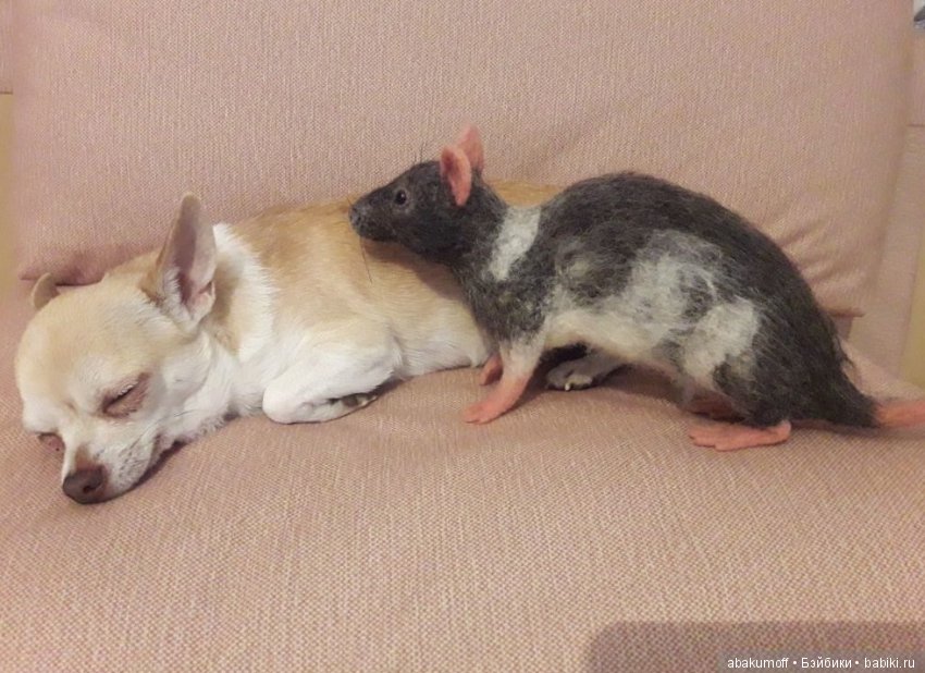 Крыса из шерсти — Валяные игрушки из шерсти: сухое валяние