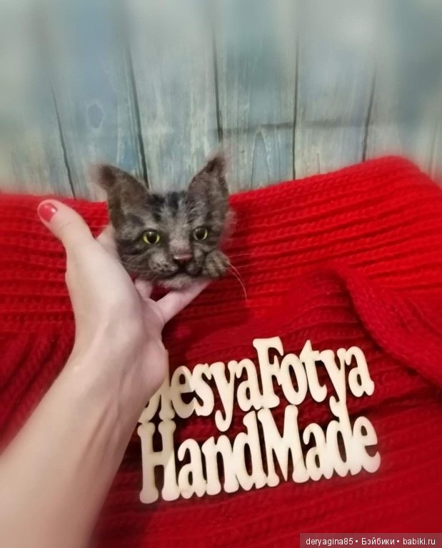 Котоброшь — Валяные игрушки из шерсти: сухое валяние (фото 2)