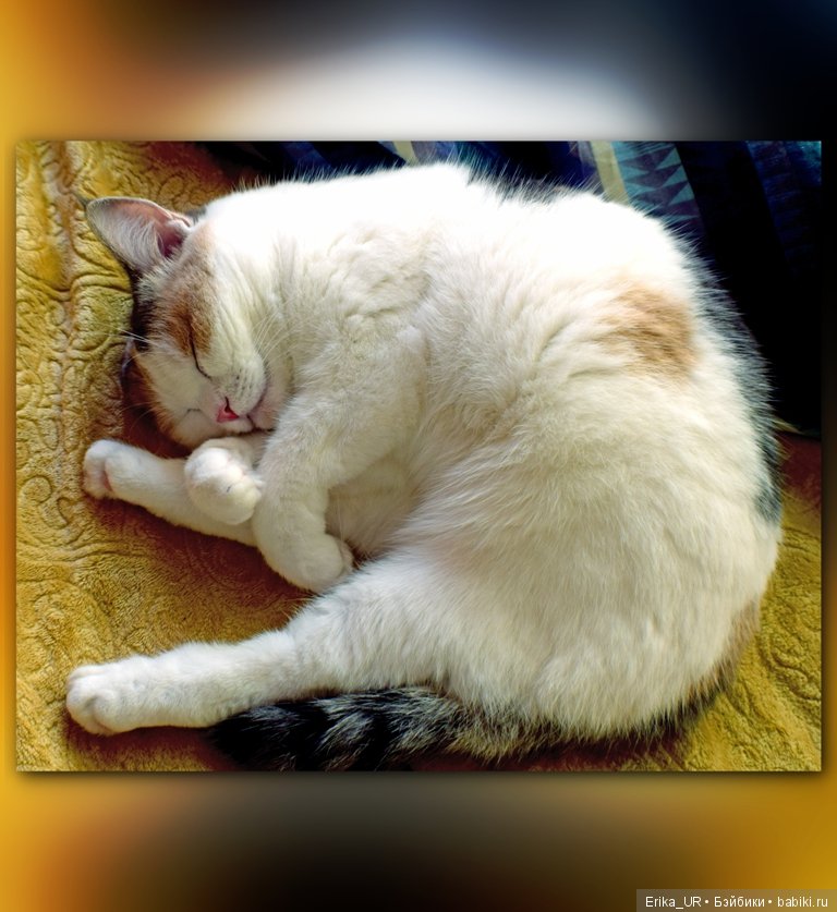 Сопутствующее куклам увлечение. 27.07.2019