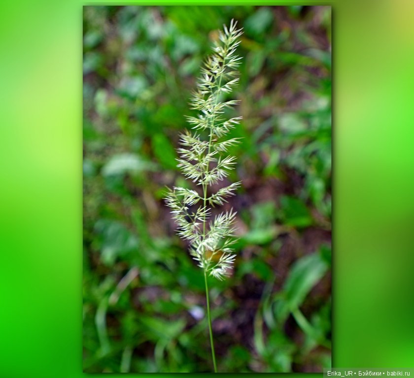 Сопутствующее куклам увлечение. 27.07.2019