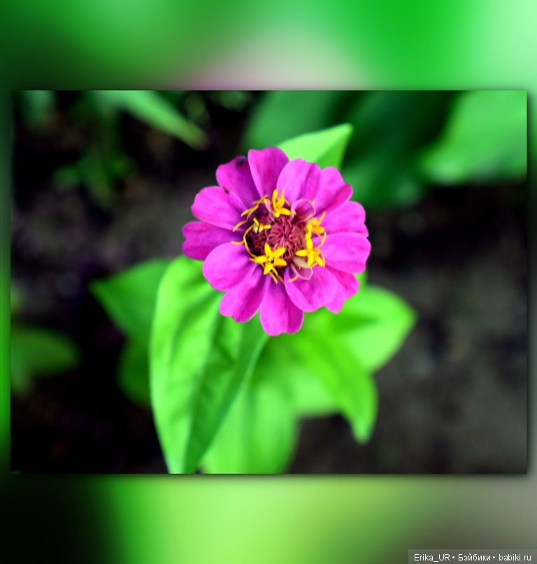 Сопутствующее куклам увлечение. 27.07.2019