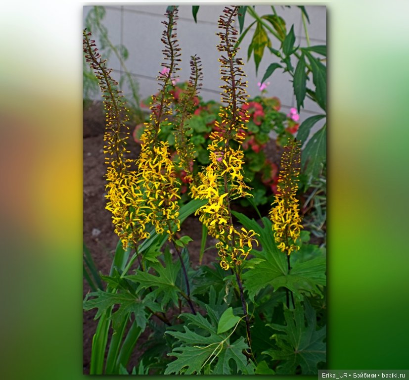 Сопутствующее куклам увлечение. 27.07.2019