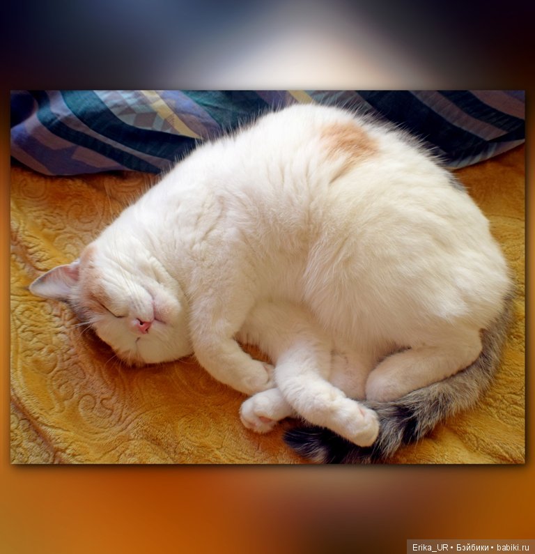 Сопутствующее куклам увлечение. 27.07.2019