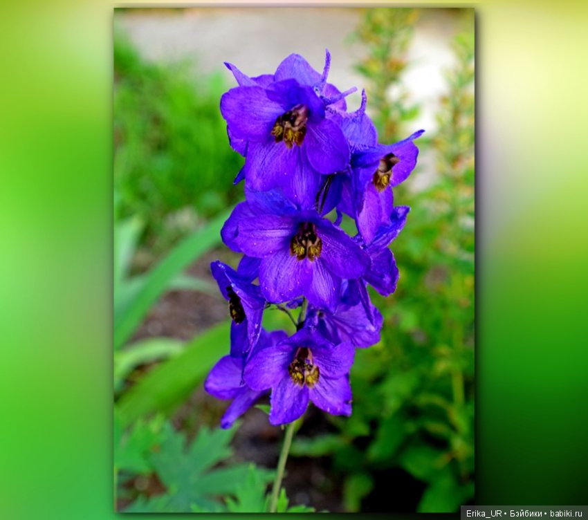 Сопутствующее куклам увлечение. 27.07.2019 (фото 8)