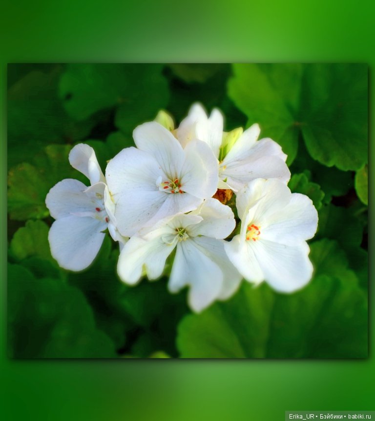 Сопутствующее куклам увлечение. 27.07.2019