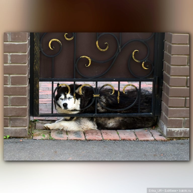 Сопутствующее куклам увлечение. 27.07.2019