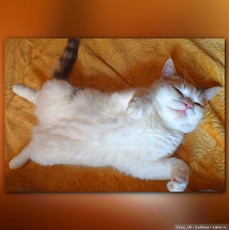 Сопутствующее куклам увлечение. 27.07.2019 (фото 3)