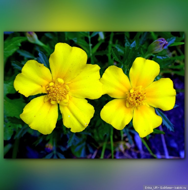 Сопутствующее куклам увлечение. 27.07.2019