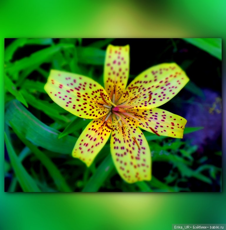 Сопутствующее куклам увлечение. 27.07.2019