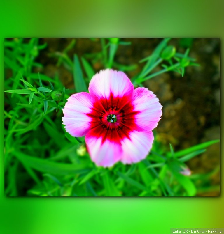 Сопутствующее куклам увлечение. 27.07.2019 (фото 6)