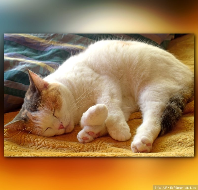 Сопутствующее куклам увлечение. 27.07.2019