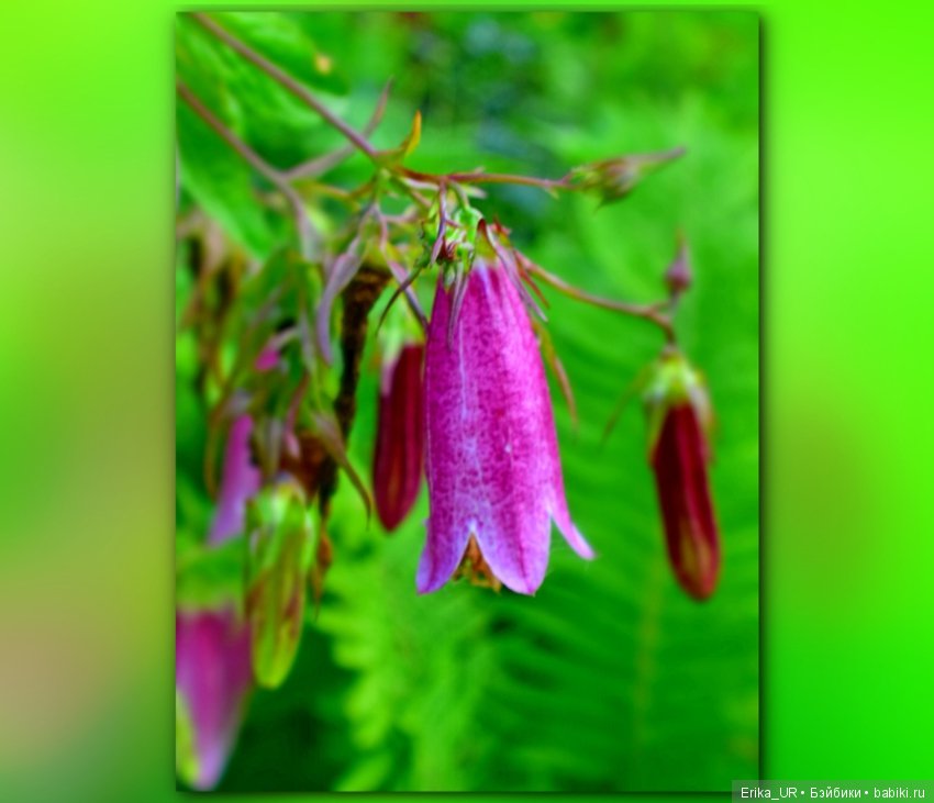 Сопутствующее куклам увлечение. 27.07.2019 (фото 7)