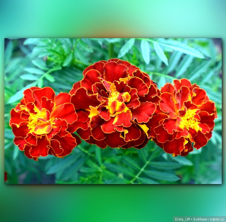 Сопутствующее куклам увлечение. 27.07.2019