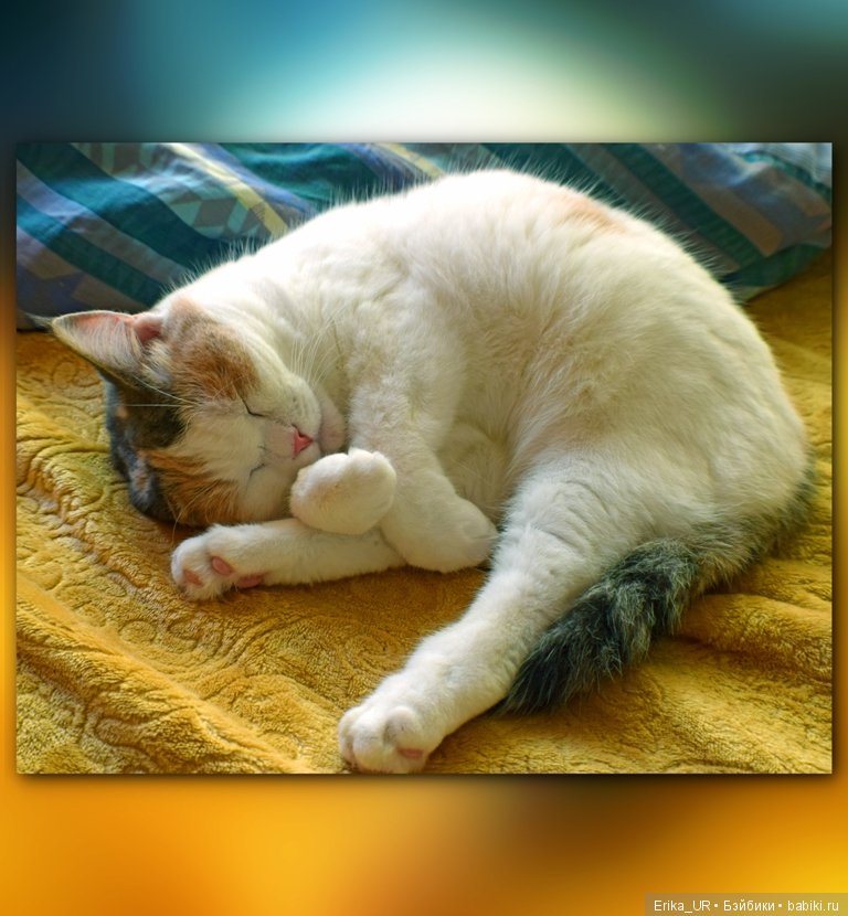 Сопутствующее куклам увлечение. 27.07.2019