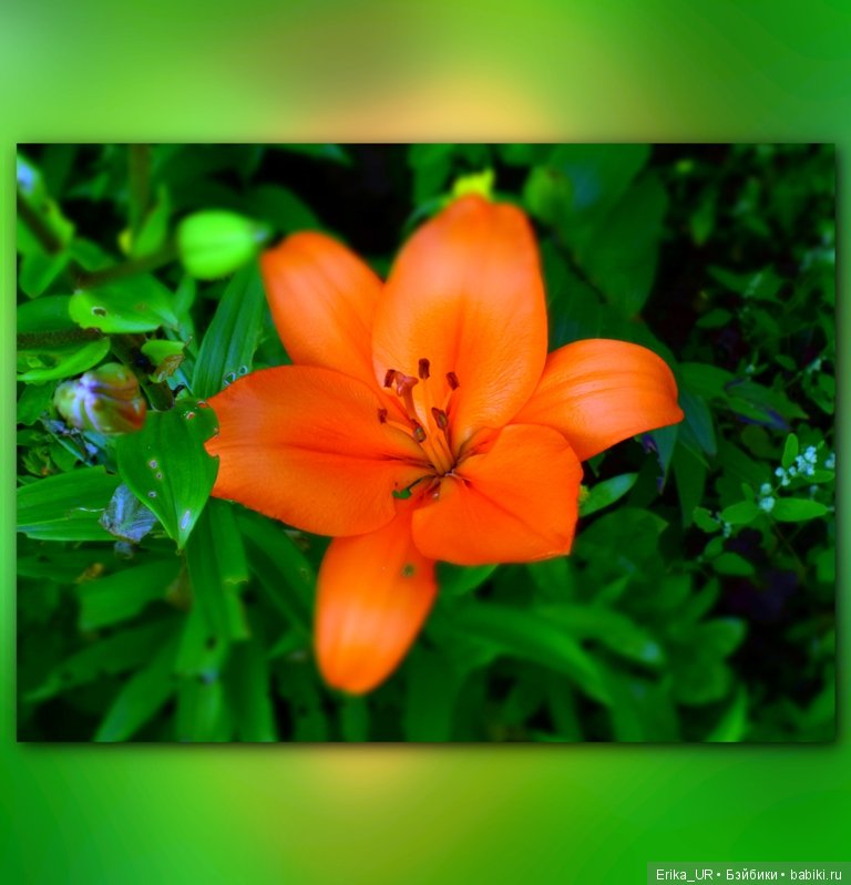 Сопутствующее куклам увлечение. 27.07.2019