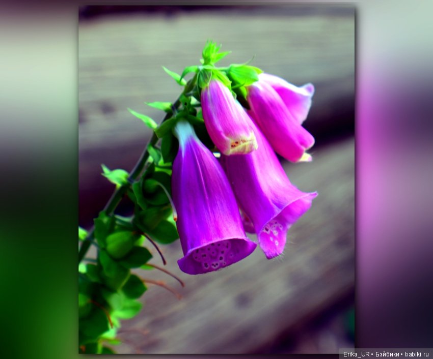 Сопутствующее куклам увлечение. 27.07.2019