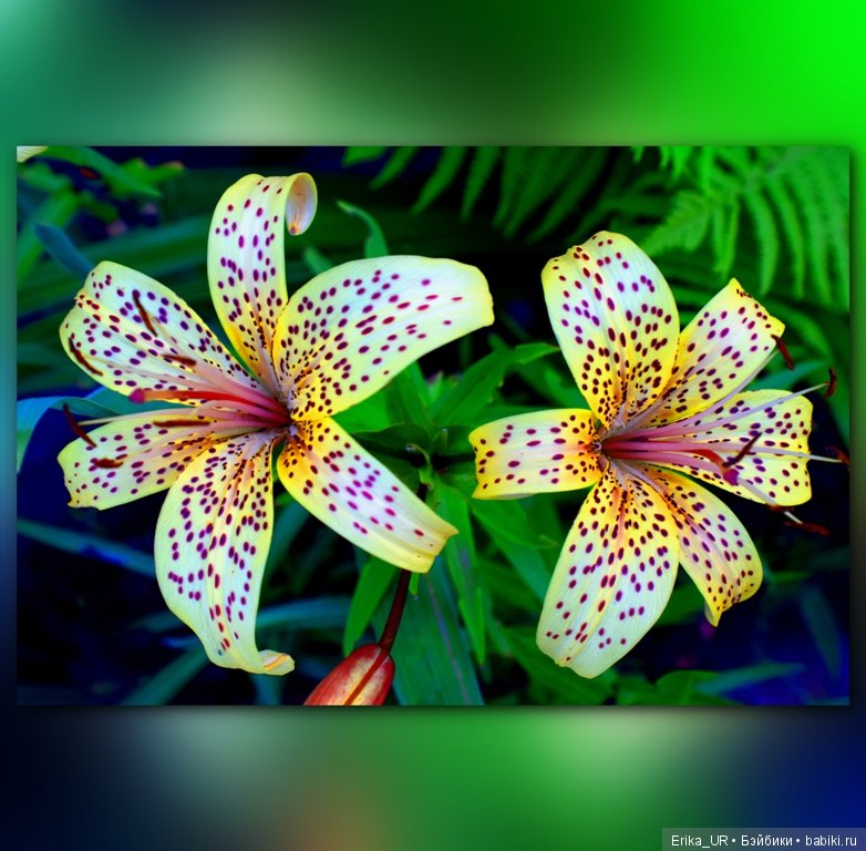 Сопутствующее куклам увлечение. 27.07.2019