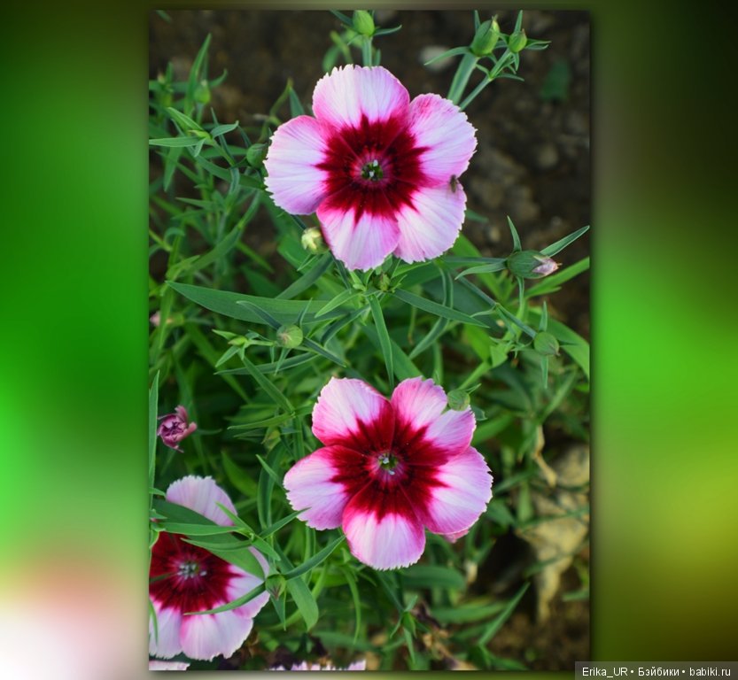 Сопутствующее куклам увлечение. 27.07.2019