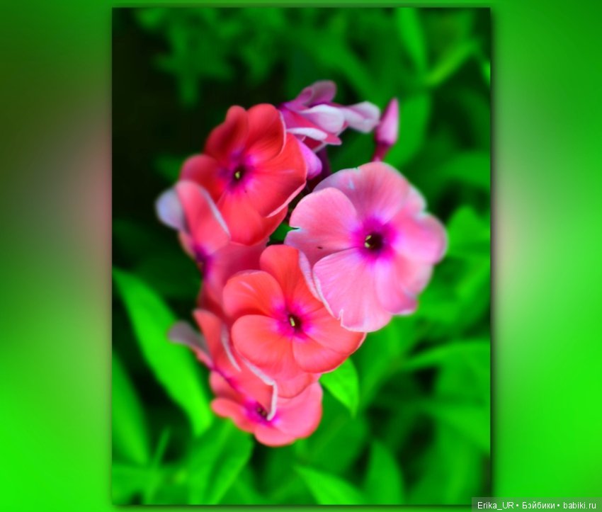 Сопутствующее куклам увлечение. 27.07.2019 (фото 10)