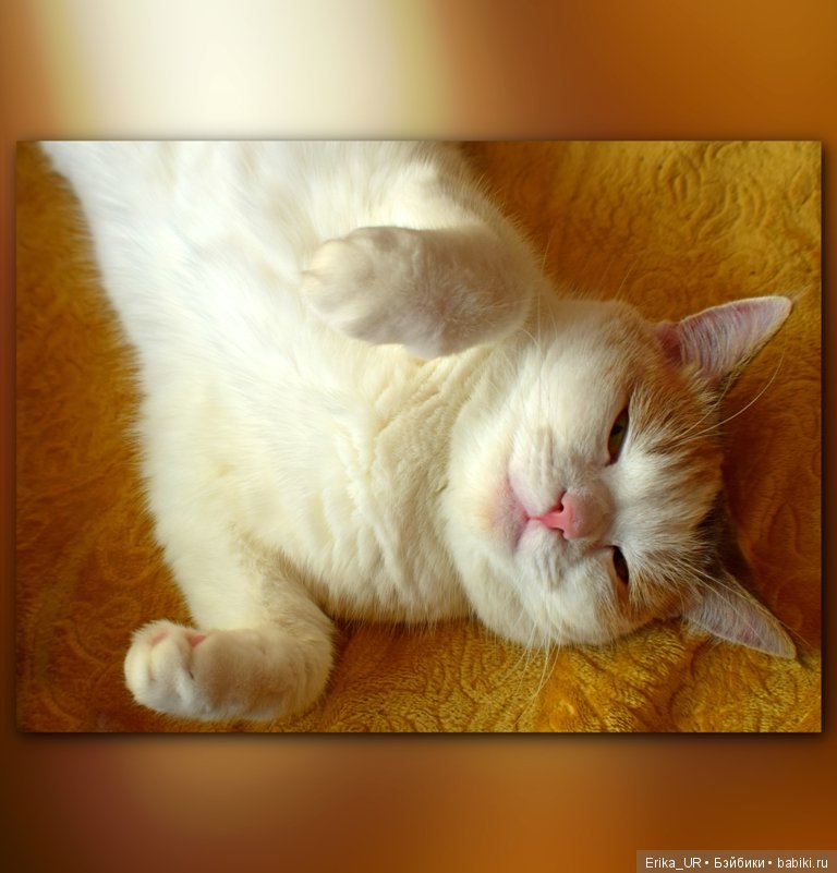 Сопутствующее куклам увлечение. 27.07.2019 (фото 2)