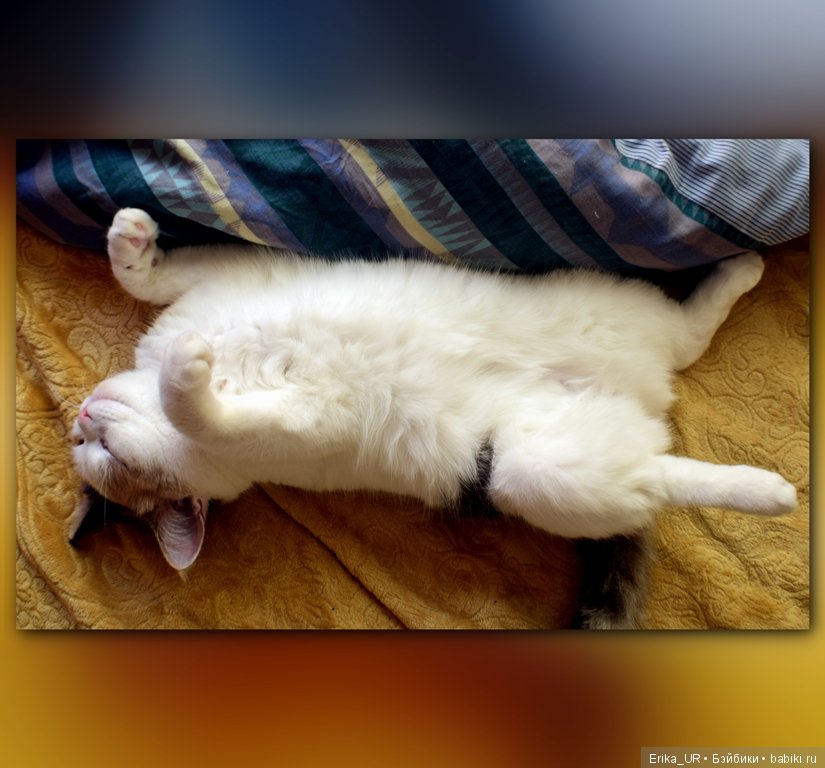 Сопутствующее куклам увлечение. 27.07.2019