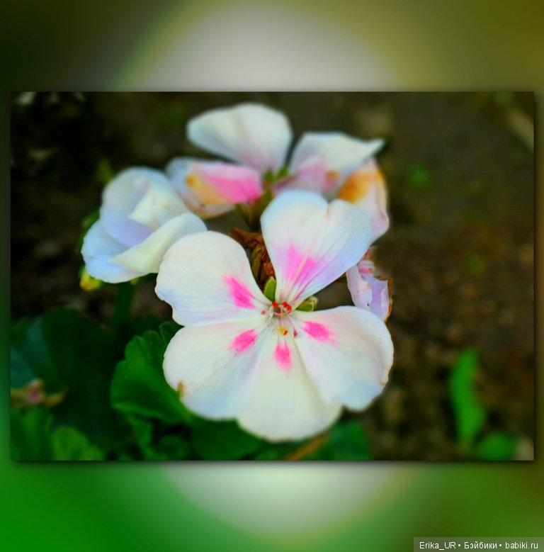 Сопутствующее куклам увлечение. 27.07.2019