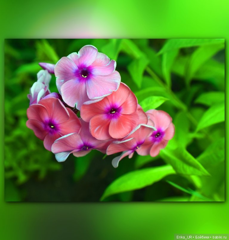 Сопутствующее куклам увлечение. 27.07.2019