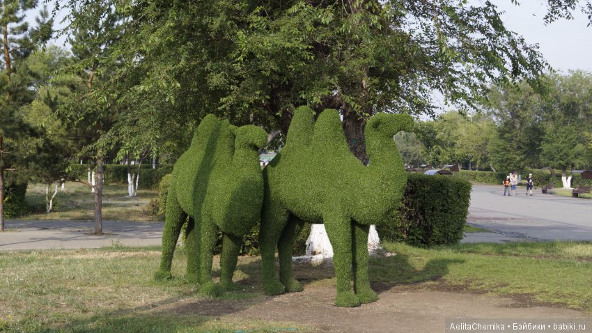 Где, где, в Караганде — Куклы Phicen (TBLeague/Фицен): бесшовные тела (фото 4)