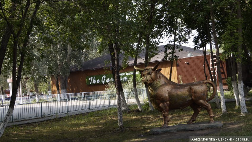 Где, где, в Караганде — Куклы Phicen (TBLeague/Фицен): бесшовные тела