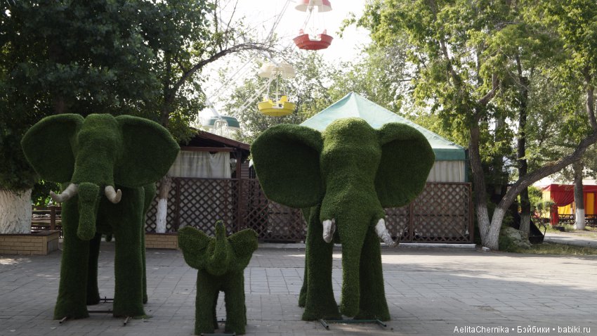 Где, где, в Караганде — Куклы Phicen (TBLeague/Фицен): бесшовные тела