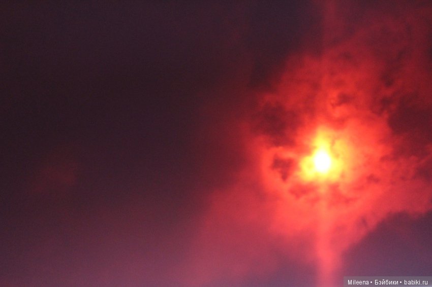 Morning In The Cities Of Dust (фото 9)