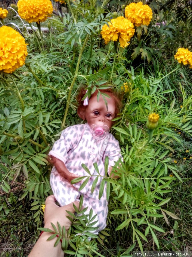 Малышка Дуся — Интерактивные куклы (говорящие