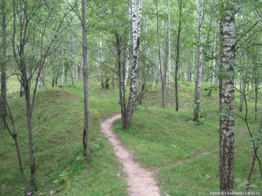 Люба в лесу — Разные шарнирные куклы (не БЖД): редкие