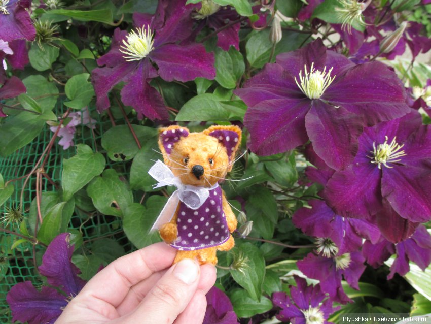 К Люку приехала подружка — Домашние фото авторских игрушек: Тедди (фото 3)