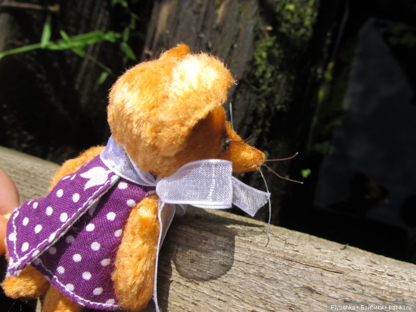 К Люку приехала подружка — Домашние фото авторских игрушек: Тедди (фото 9)
