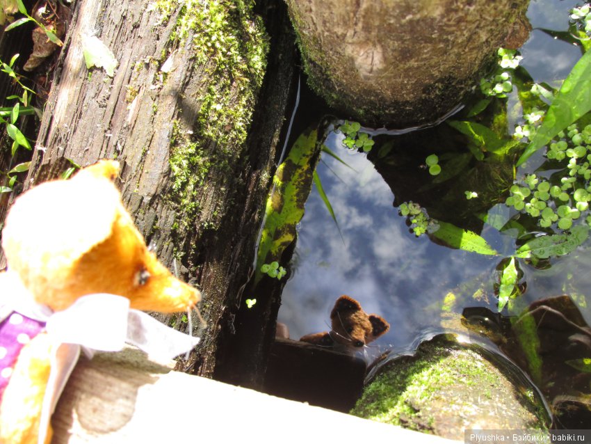 К Люку приехала подружка — Домашние фото авторских игрушек: Тедди (фото 10)