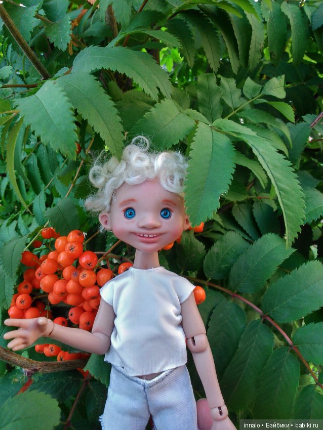 Падение с рябины и зализывание ран (фото 6)