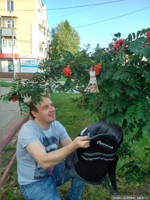 Падение с рябины и зализывание ран (фото 3)