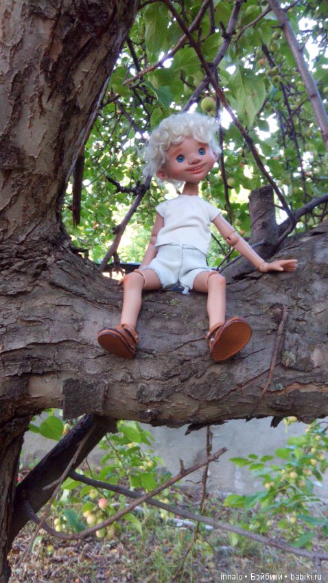 Падение с рябины и зализывание ран (фото 10)