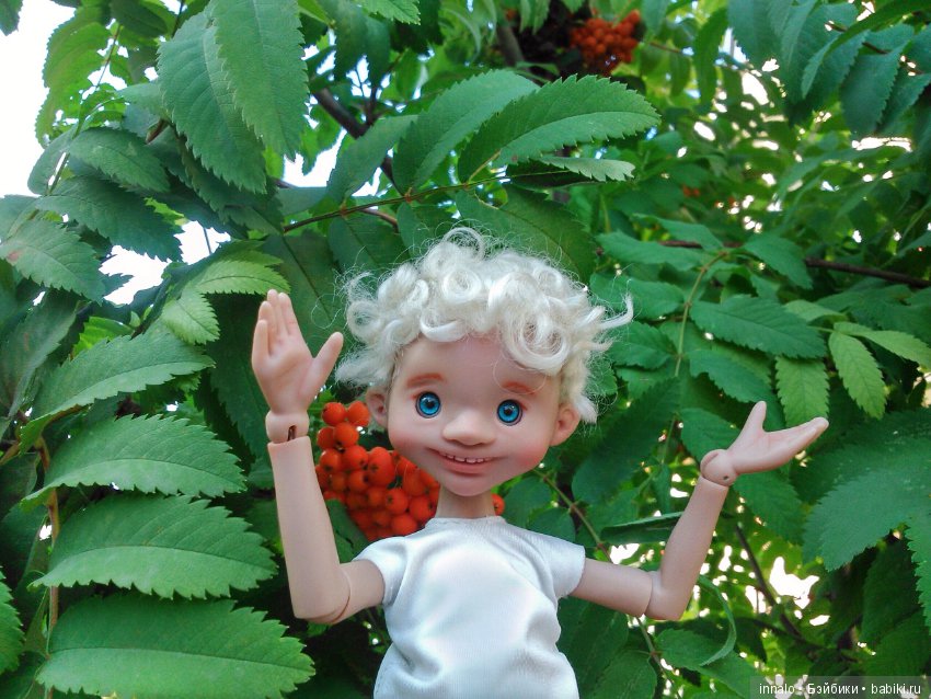 Падение с рябины и зализывание ран (фото 5)