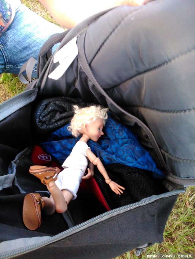 Падение с рябины и зализывание ран (фото 4)