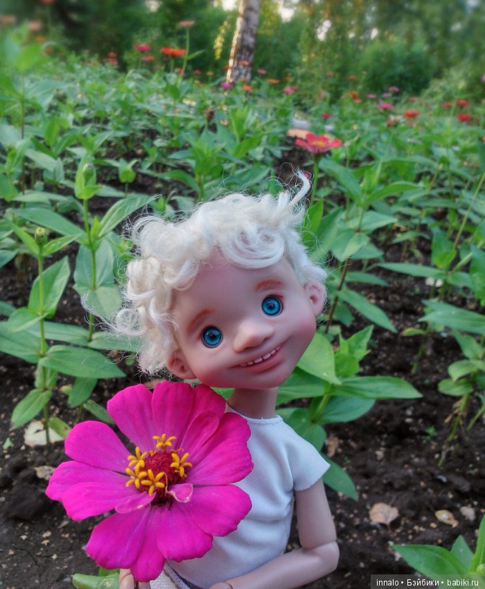 Падение с рябины и зализывание ран