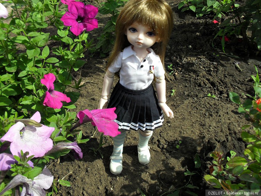 История появления моей синички Сяо (фото 3)