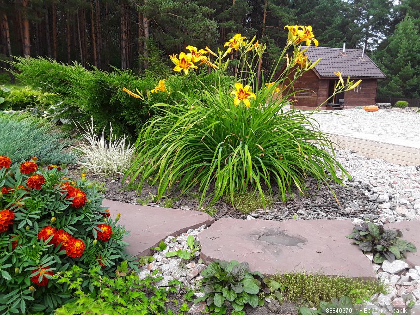 Август-последний летний месяц, гуляем и наслаждаемся вместе с любимыми куколками