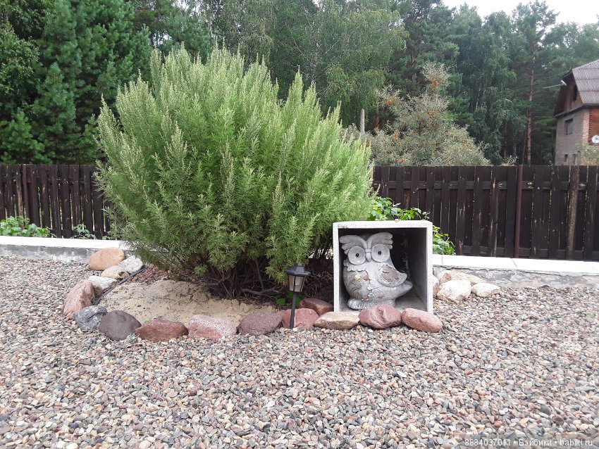 Август-последний летний месяц, гуляем и наслаждаемся вместе с любимыми куколками (фото 10)